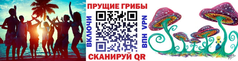 Галлюциногенные грибы Psilocybine cubensis  купить закладку  Семикаракорск 